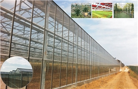 光伏農(nóng)業(yè)大棚項(xiàng)目